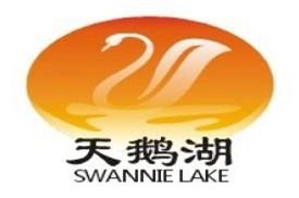 天鹅湖(图1)